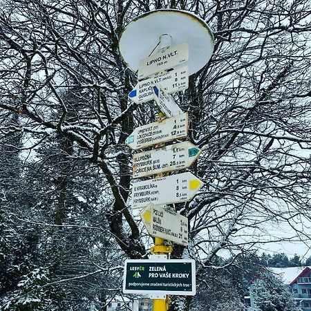 Apartman Galerie - Lipno Nad Vltavou Eksteriør billede