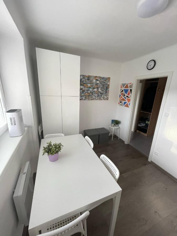 Apartman Galerie - Lipno Nad Vltavou Eksteriør billede
