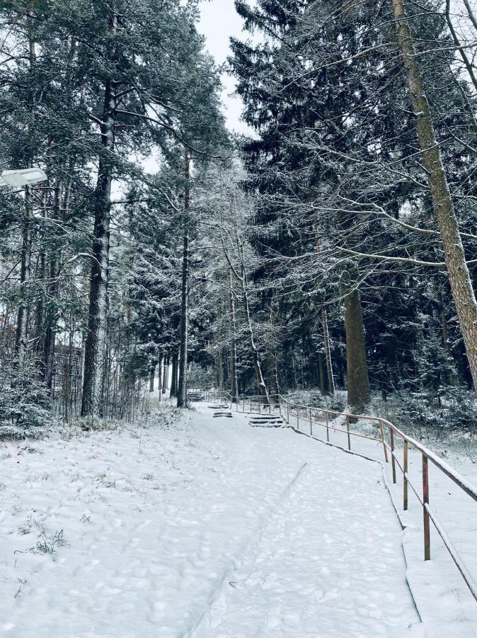 Apartman Galerie - Lipno Nad Vltavou Eksteriør billede