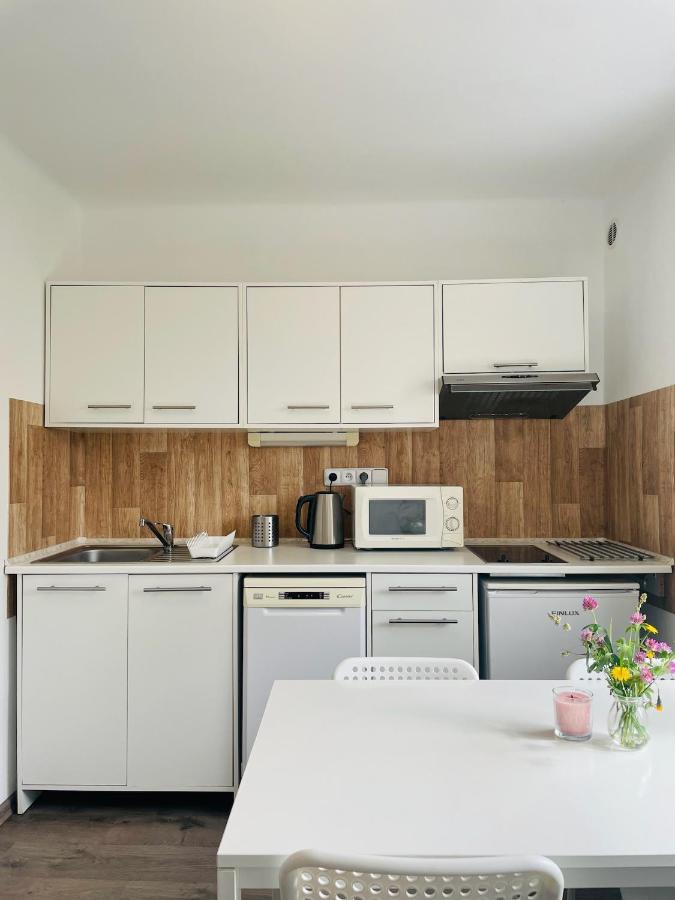 Apartman Galerie - Lipno Nad Vltavou Eksteriør billede