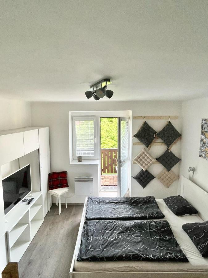 Apartman Galerie - Lipno Nad Vltavou Eksteriør billede